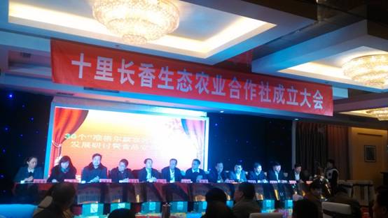 走過十里長川，拉開“十里長香”品牌的序幕